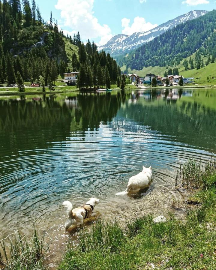 Apart Jasmin Flachau Exterior photo